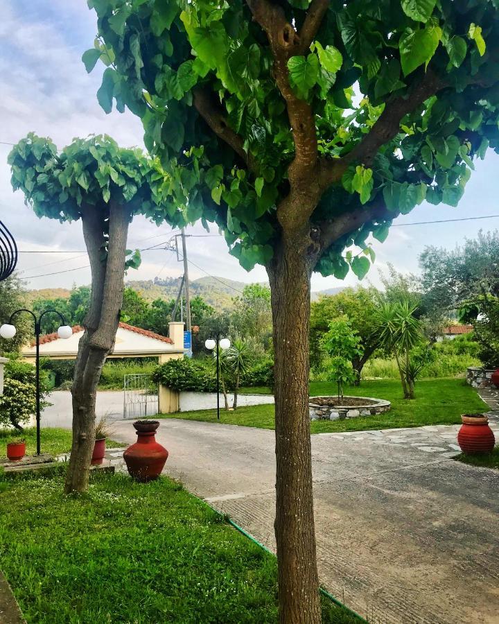 Pansion Episkopi Studios スコペロス エクステリア 写真