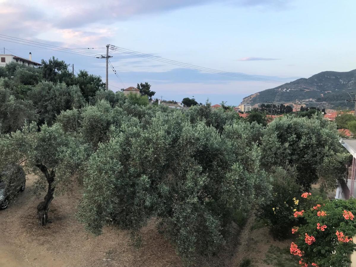 Pansion Episkopi Studios スコペロス エクステリア 写真
