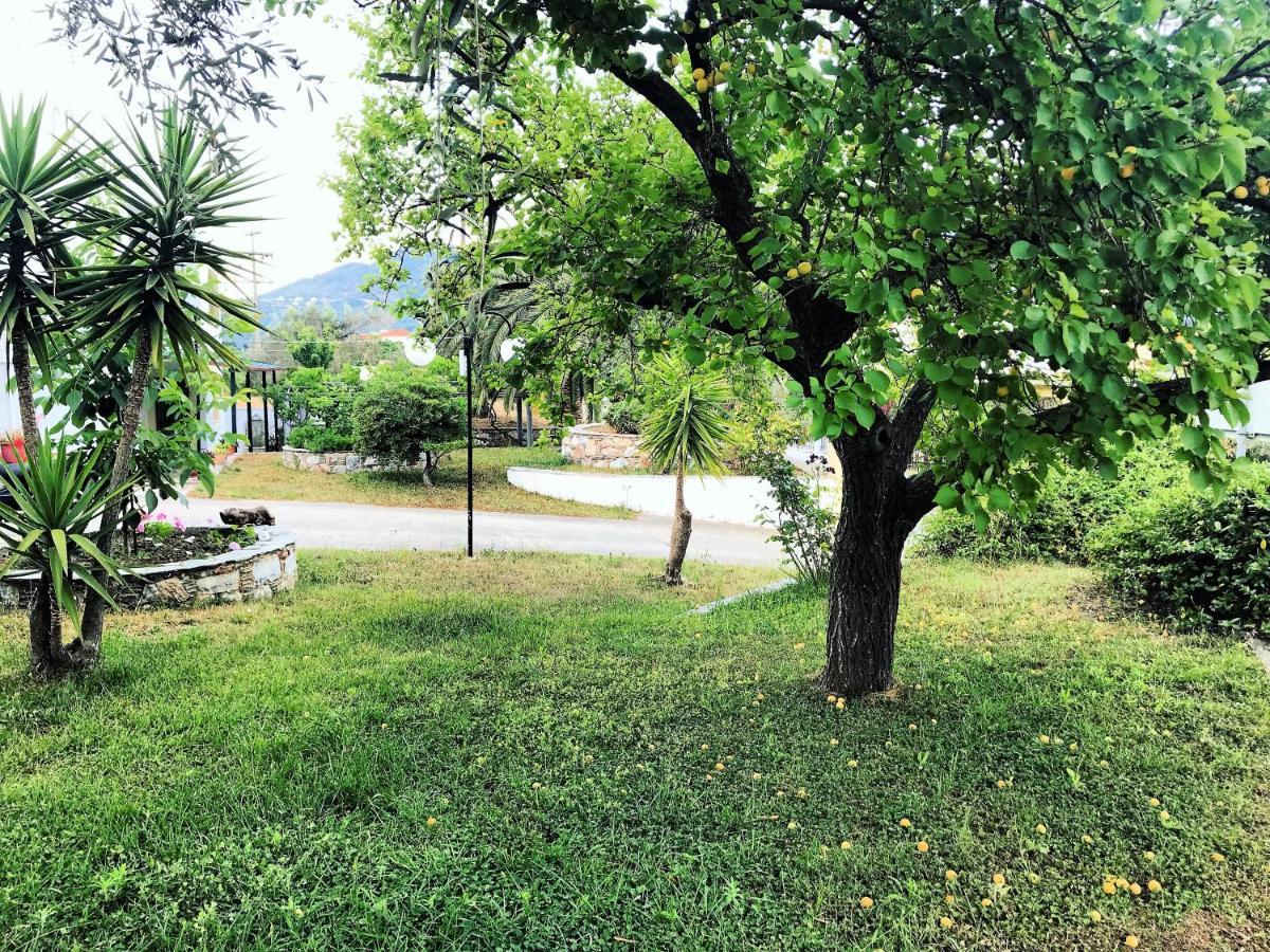 Pansion Episkopi Studios スコペロス エクステリア 写真